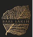 Bare Earth Device mark 3897367 Trademark