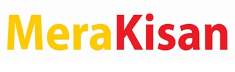 Merakisan Logo Device mark 3879978 Trademark