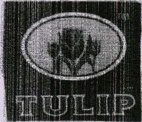 Tulip Device mark 3898194 Trademark