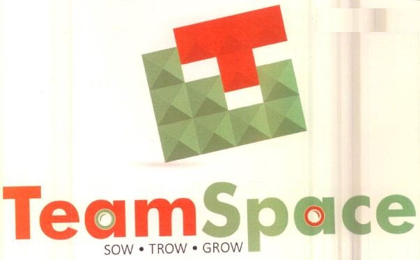 Team Space Sow.trow.grow Device mark 3884856 Trademark
