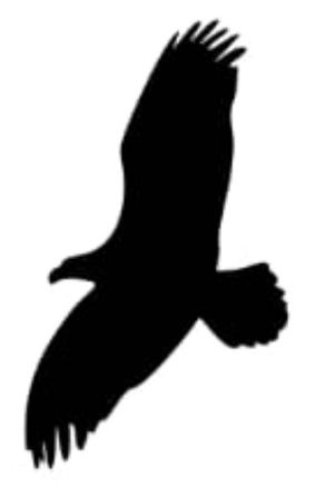 Device Of Vulture Device mark 3907064 Trademark