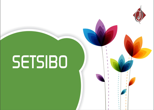 Setsibo Device mark 3885266 Trademark