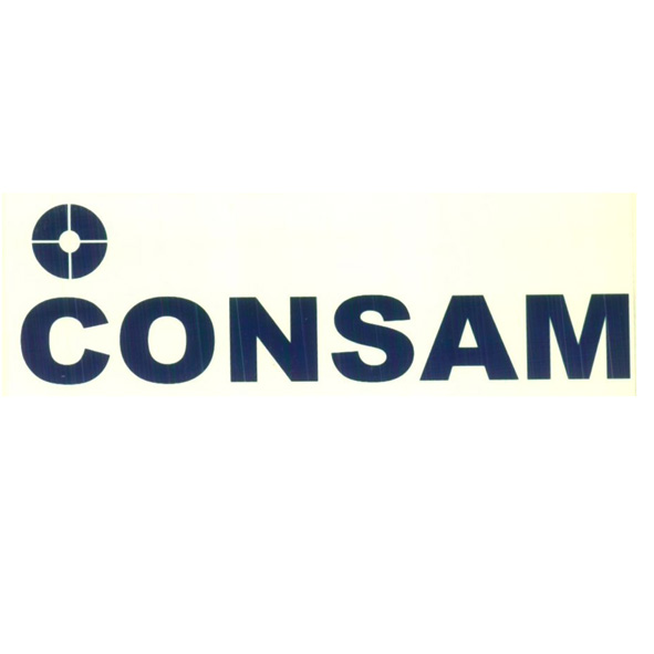 Consam With Device Device mark 3909907 Trademark