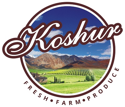 Koshur Device mark 3886475 Trademark