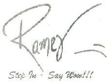 Ramer Step In - Say Wow Device mark 3889400 Trademark
