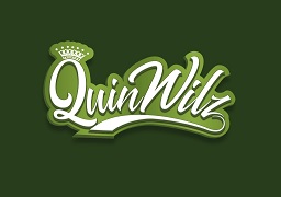 Quinwilz Device mark 3914705 Trademark