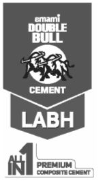 Double Bull Labh Device mark 3923937 Trademark