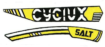 Cyclux Salt Device mark 3918461 Trademark