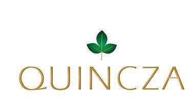 Quincza Device mark 3929085 Trademark