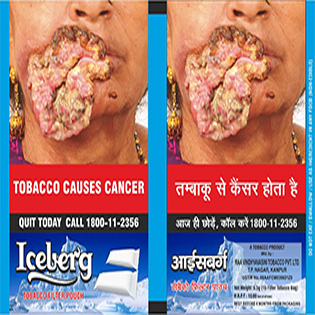 Iceberg Logo Device mark 3941732 Trademark