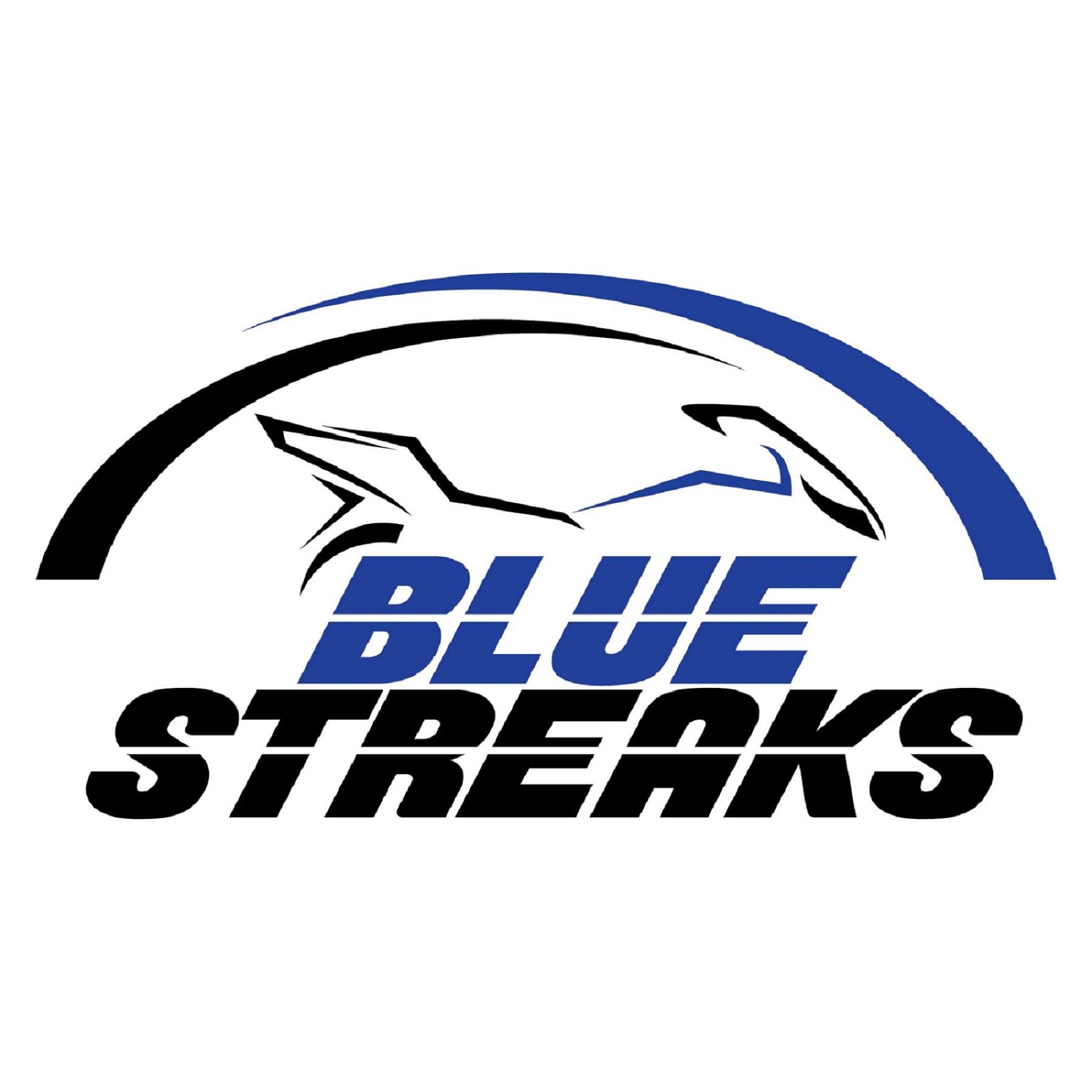 Blue Streaks Device mark 3942568 Trademark