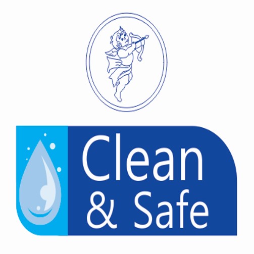 Clean & Safe Device mark 3961742 Trademark