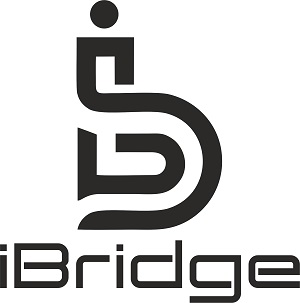 Ibridge Device mark 3952279 Trademark