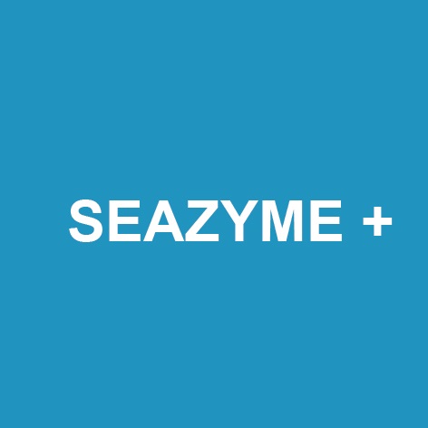 Seazyme + Device mark 3937082 Trademark