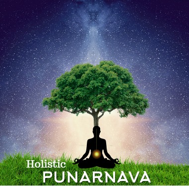 Holistic Punarnava Device mark 3969901 Trademark