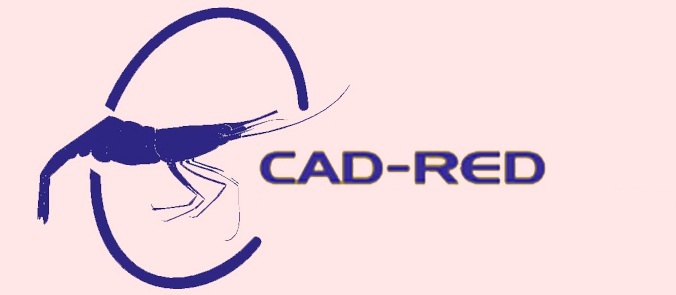 Cad-red Device mark 3970558 Trademark