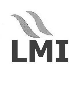 Lmi Device mark 3976776 Trademark