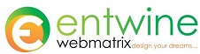 Entwine Webmatrix ; Design Your Dreams... Device mark 3978019 Trademark
