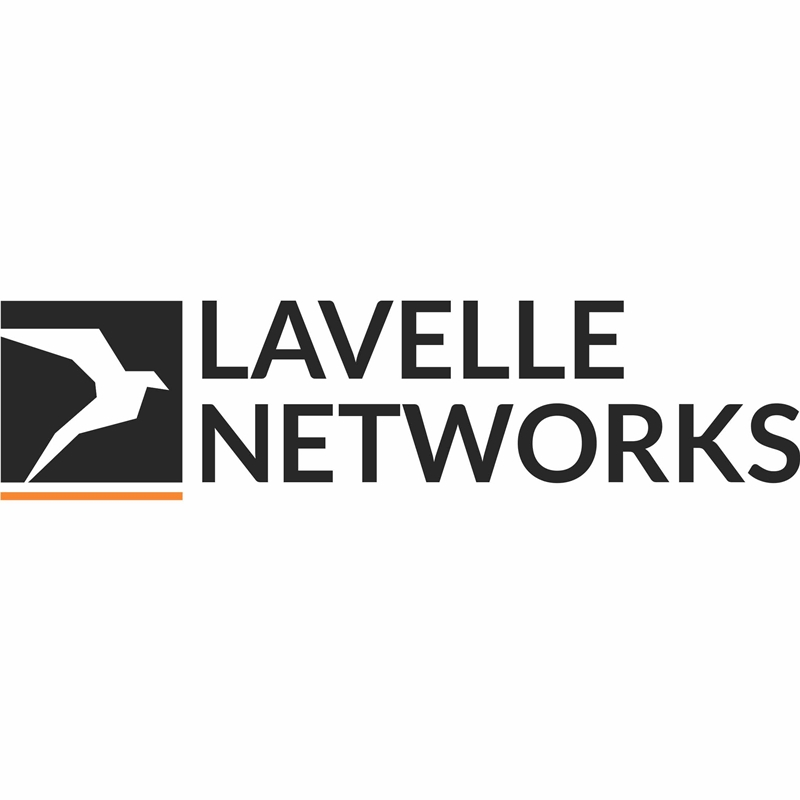 Lavelle Networks Device mark 3981373 Trademark