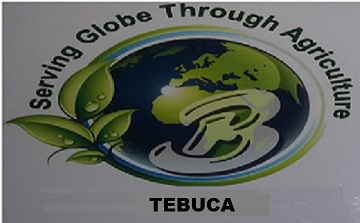 Tebuca With Device Device mark 3987799 Trademark