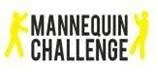 Mannequin Challenge Label Device mark 3995982 Trademark