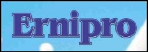 Ernipro Device mark 3996163 Trademark