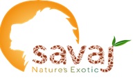 Savaj Device mark 3999137 Trademark