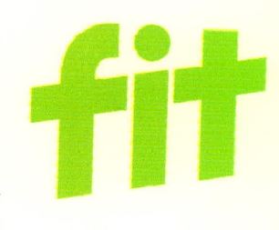 Fit Device mark 3999733 Trademark
