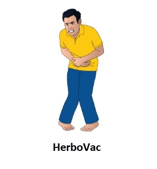 Herbovac (with Device) Device mark 4003738 Trademark