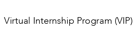 Virtual Internship Program (vip) Device mark 4010341 Trademark