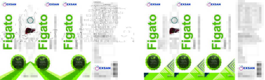 Figato Device mark 4011601 Trademark