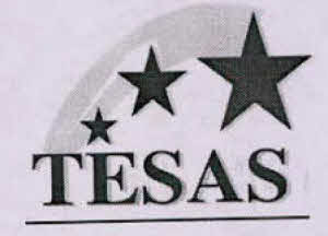 Tesas Device mark 4013017 Trademark