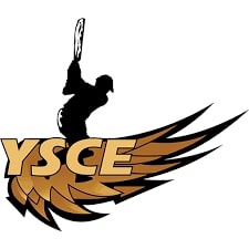 Ysce Device mark 4019130 Trademark