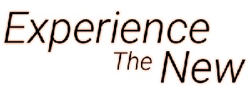 Experience The New Device mark 4020012 Trademark