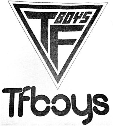 Tfboys Device mark 4023740 Trademark