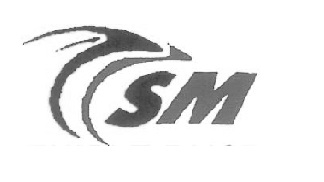 Sm Device mark 4024940 Trademark