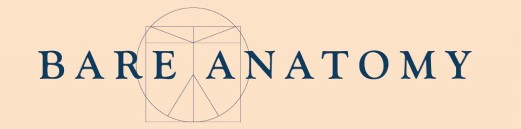 Bare Anatomy Device mark 4027247 Trademark