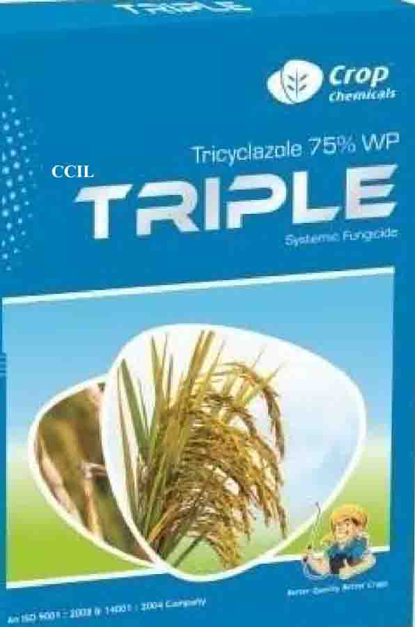 Cciltriple Device mark 4029381 Trademark