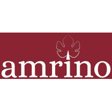 Amrino Device mark 4030862 Trademark