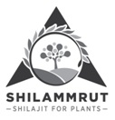 Shilammrut With Logo Device mark 4032269 Trademark