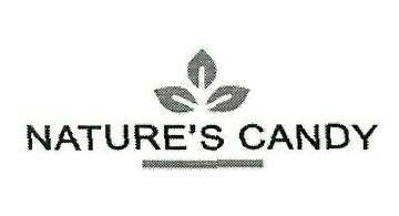 Nature's Candy Device mark 4051210 Trademark