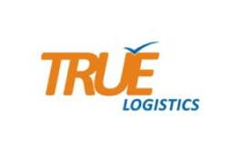 True Logistics Device mark 4039083 Trademark