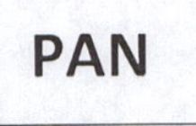 Pan Device mark 4052405 Trademark