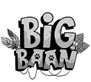 Big Baan Device mark 4039754 Trademark