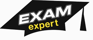 Exam Expert ( Logo) Device mark 4042017 Trademark