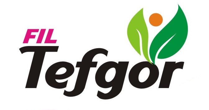 Fil Tefgor Device mark 4061130 Trademark