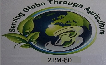 Zrm-80 Device mark 4061478 Trademark