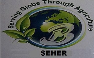 Seher Device mark 4061481 Trademark