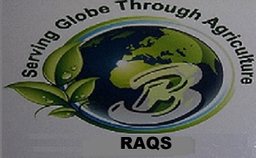 B Raqs With Device Of Globe Device mark 4061482 Trademark