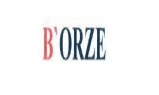 B'orze Device mark 4061787 Trademark